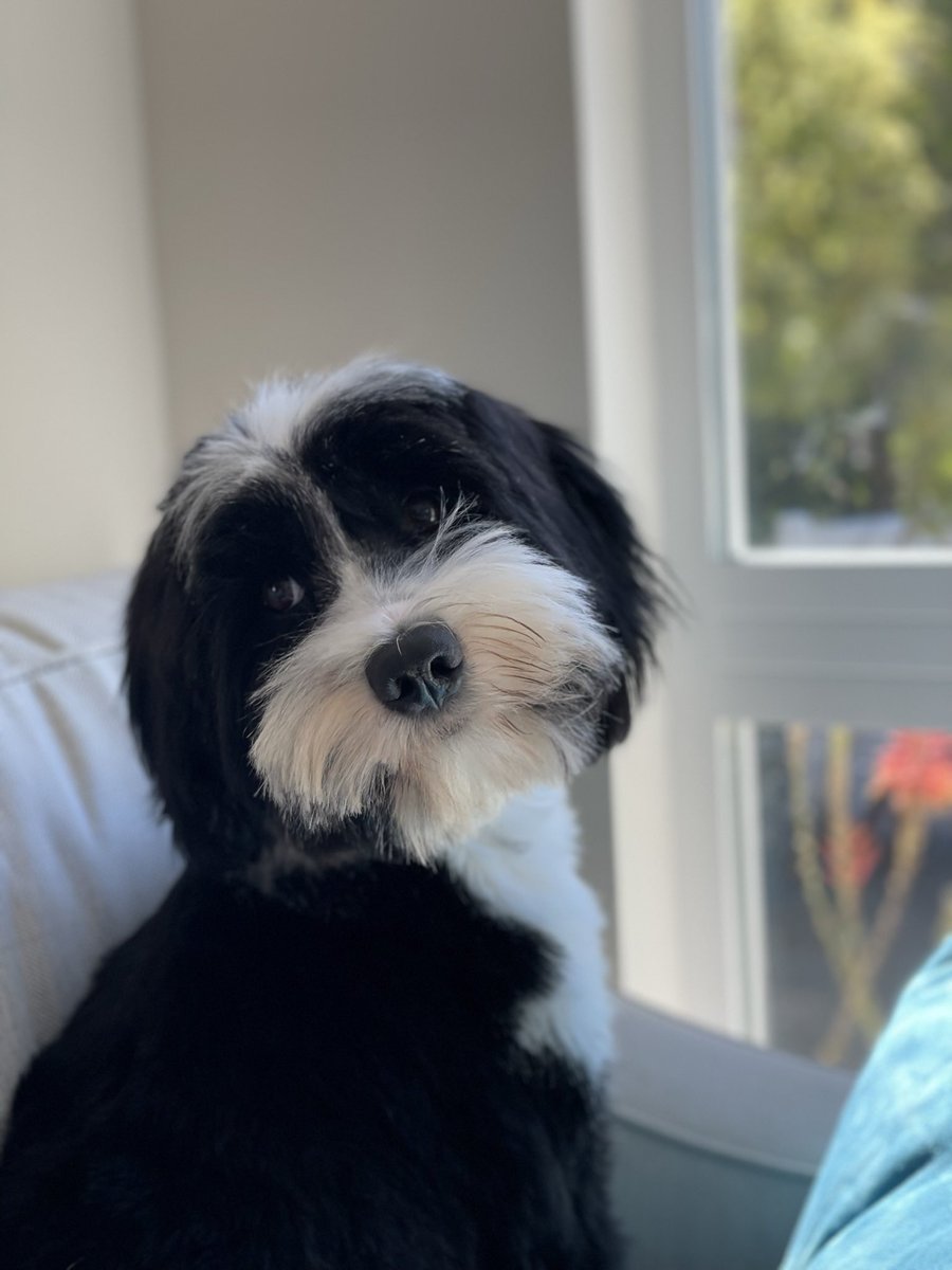 T Kyle Harrison tweet media