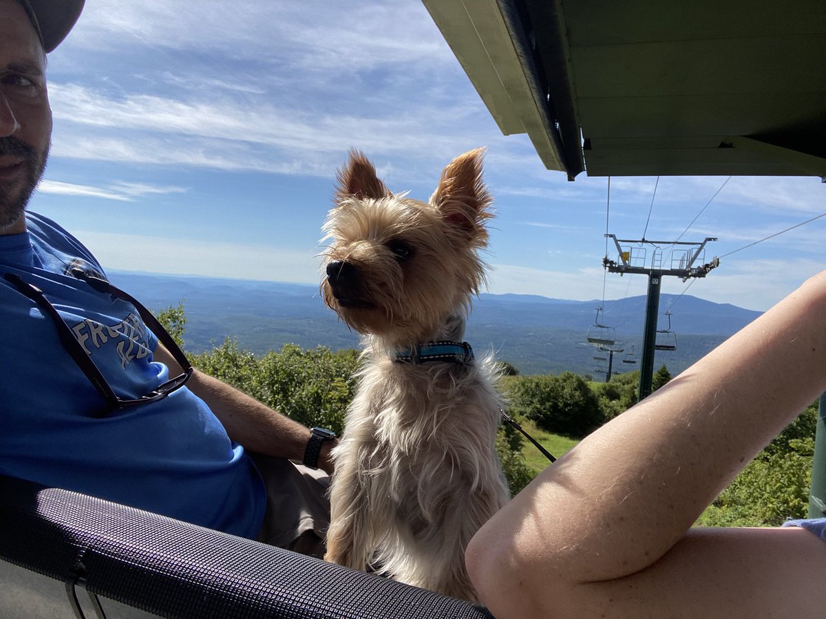 ChrisWerely's tweet photo. @Usablenet Adventure dog! https://t.co/FvOUxLIQUZ
