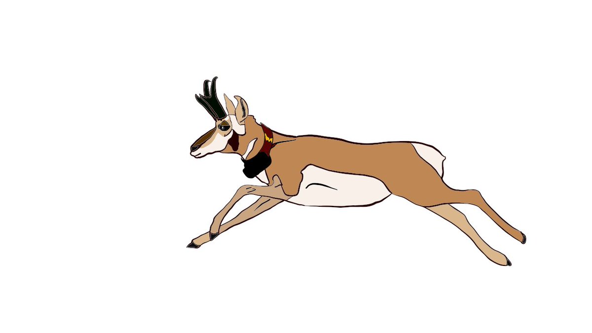 Congratulations to @winter_eco for passing her master's defense! 🥳 Not only did Veronica do an amazing job synthesizing and explaining a 2-year research project, she did so with some amazing visuals of her own art!