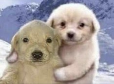 El Guarromántico tweet media