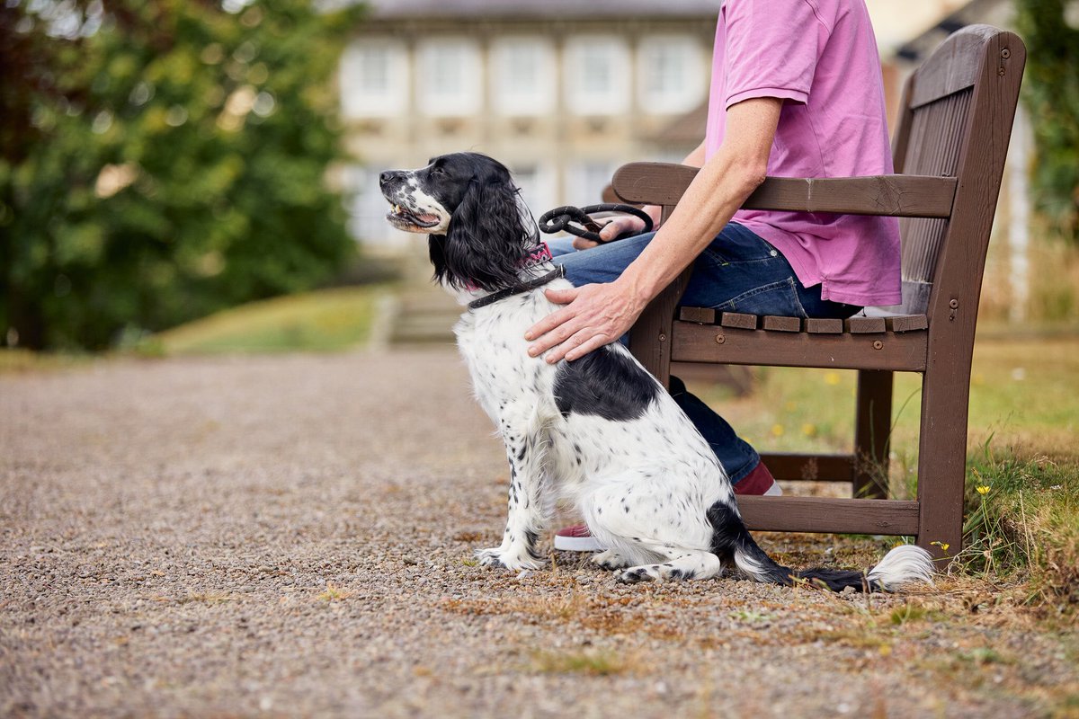 A warm welcome awaits four-legged guests at our dog-friendly hotels on #internationaldogday  🐶
Explore some of Britain's most beautiful landscapes before heading back to your cosy accommodation &amp; curling up in the comfort of <a href="/DoxfordHall/">Doxford Hall Hotel</a> <a href="/eshotthall/">Eshott Hall</a> <a href="/EdnamHotel/">EdnamHouseHotel</a> <a href="/RPC_Wordsworth/">The Wordsworth Hotel</a>