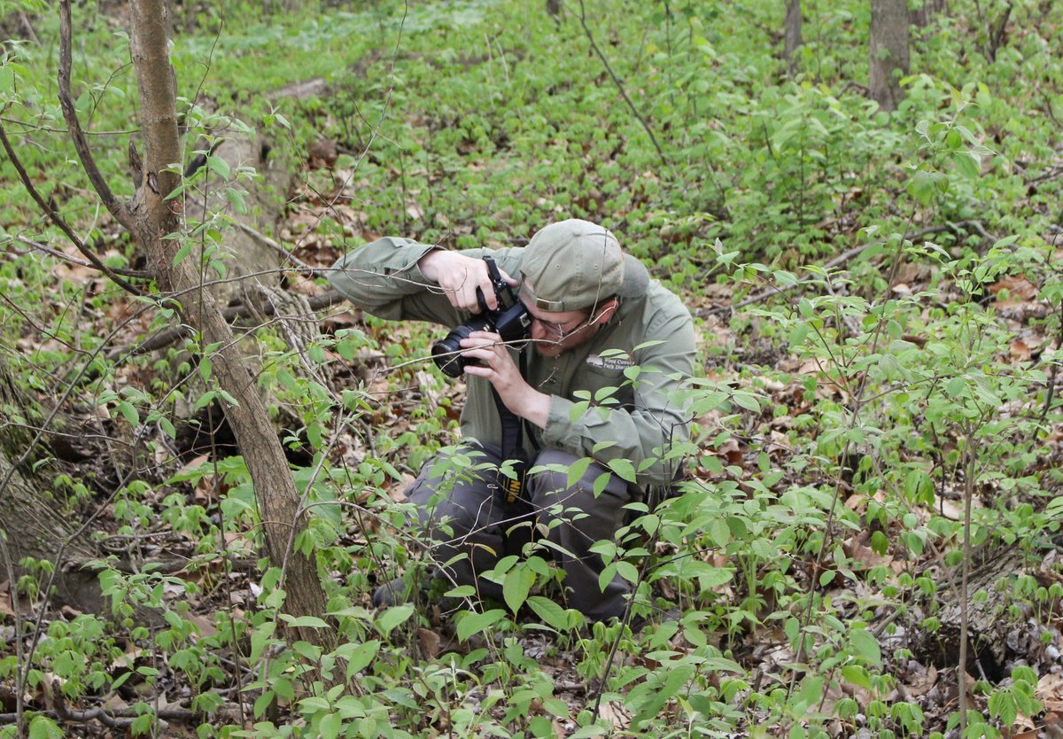 woodparkdist's tweet photo. Learn to take nature photos like a pro.
Intro to Nature Photography
9/14; 6 - 7:30 pm
Bradner Preserve
Register for this free @woodparkdist program:
https://t.co/Z4HTzQXlCZ
#nature #photography #lovenature #explore419 #WoodCounty #Ohio #TagYoureIt https://t.co/gWq8qLite5