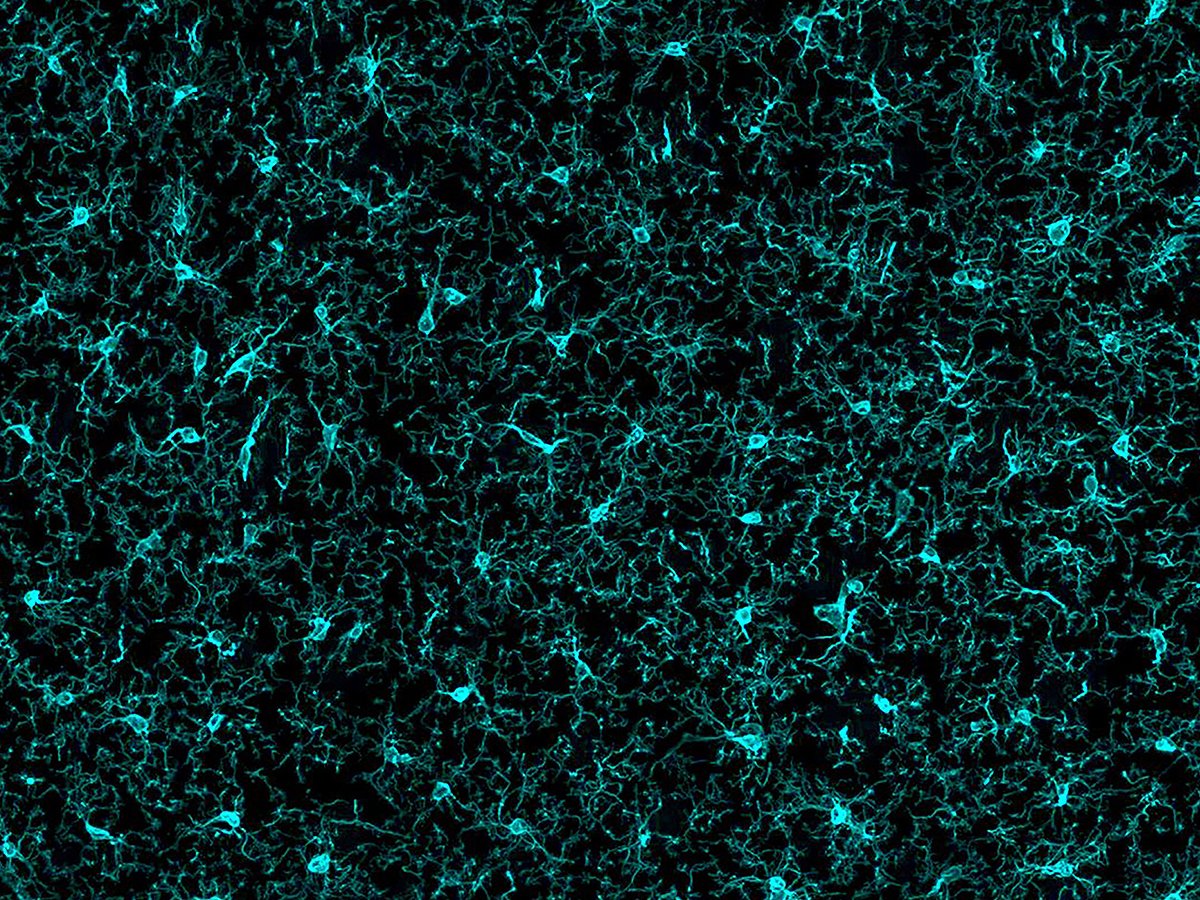 NSERC / CRSNG tweet media