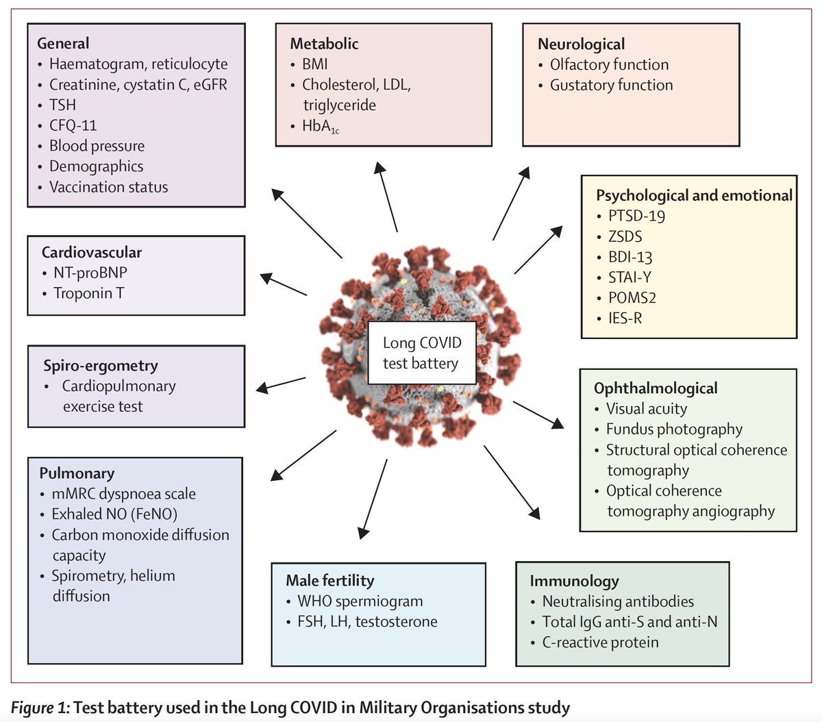 EricTopol's tweet photo. A prospective study of #LongCovid in young (median age=21), healthy, males (93%), with controls: "new evidence that even infections in young adults can lead to sequelae that persist several months"
https://t.co/379fy4HmMW https://t.co/mp8METJrE6