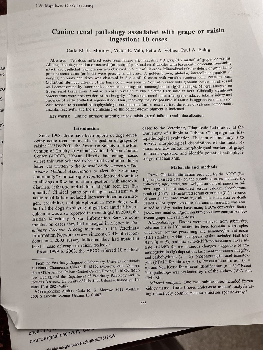 Hey #ToxTwitter what’s the deal with grape and raisin induced AKI in dogs? The residents of St John have questions.