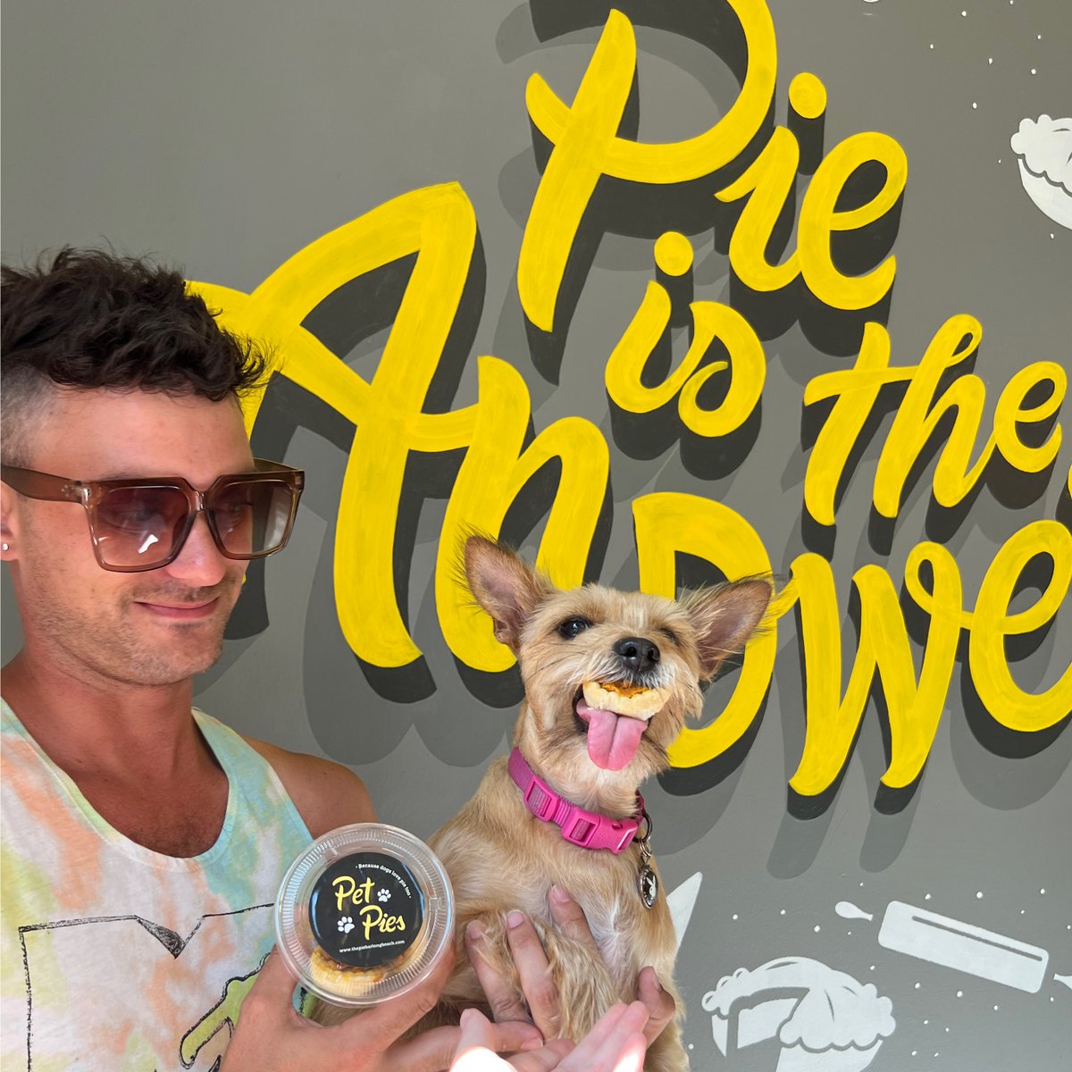 Dog Friendly Restaurants Delhi Dog Friendly Restaurants Delhi