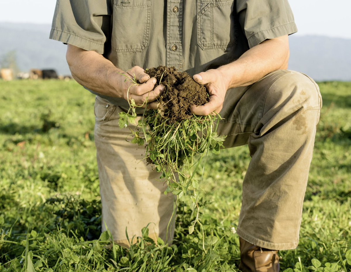 #SoilHealth is a big part of @alexandre_farm. “Earthworms are your friends,” says Blake Alexandre. 🎧: fieldworktalk.org/episode/2022/0… #AgTwitter