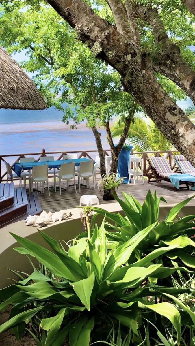 U_Stays's tweet photo. Tropical setting 🌿
#beach #sea #bush #wildlife #coastal #private #seaviews #seafacing #oceanfront #holiday #paradise #lifestyle #beachlovers #beautiful #destination #travel #to #explore #explorepage #adventure #nature https://t.co/MOzmGhJxcb