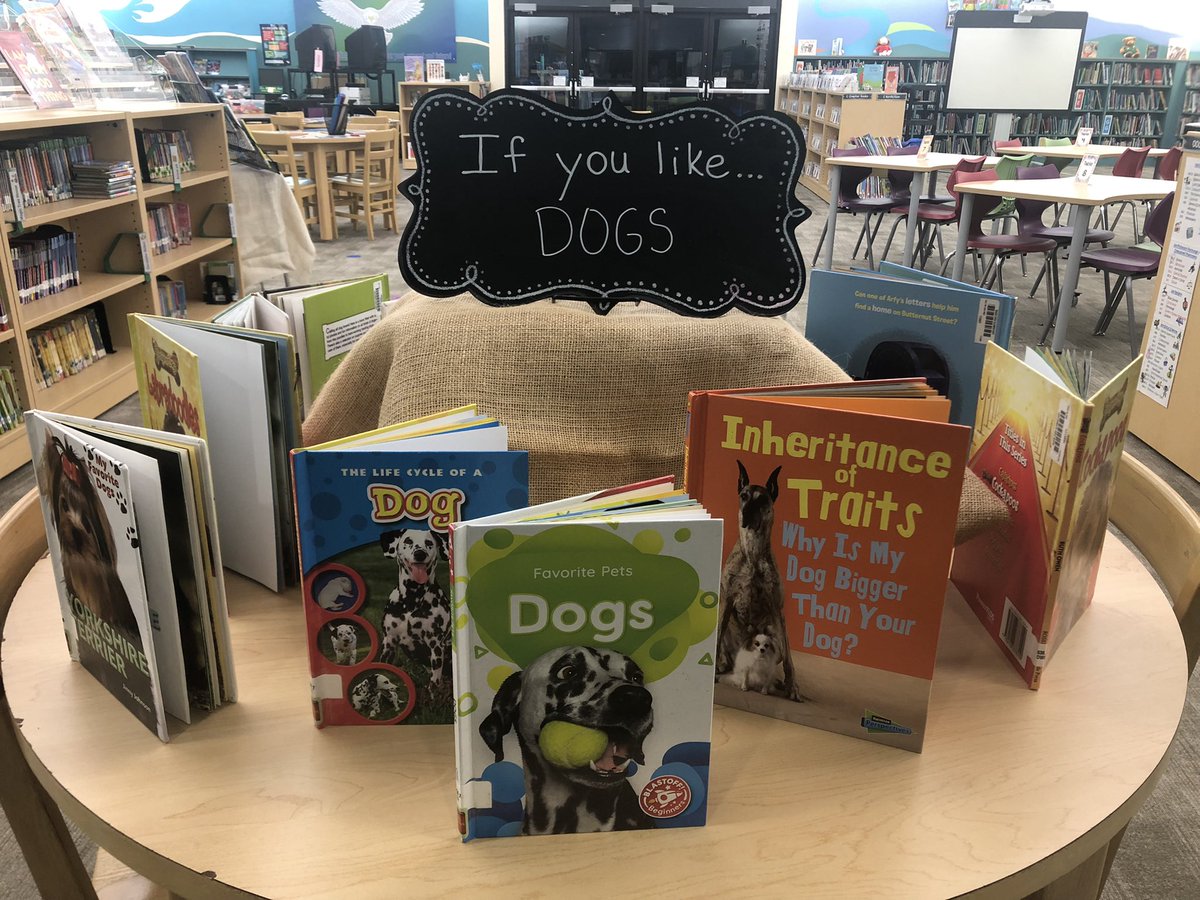 REEMedia tweet media