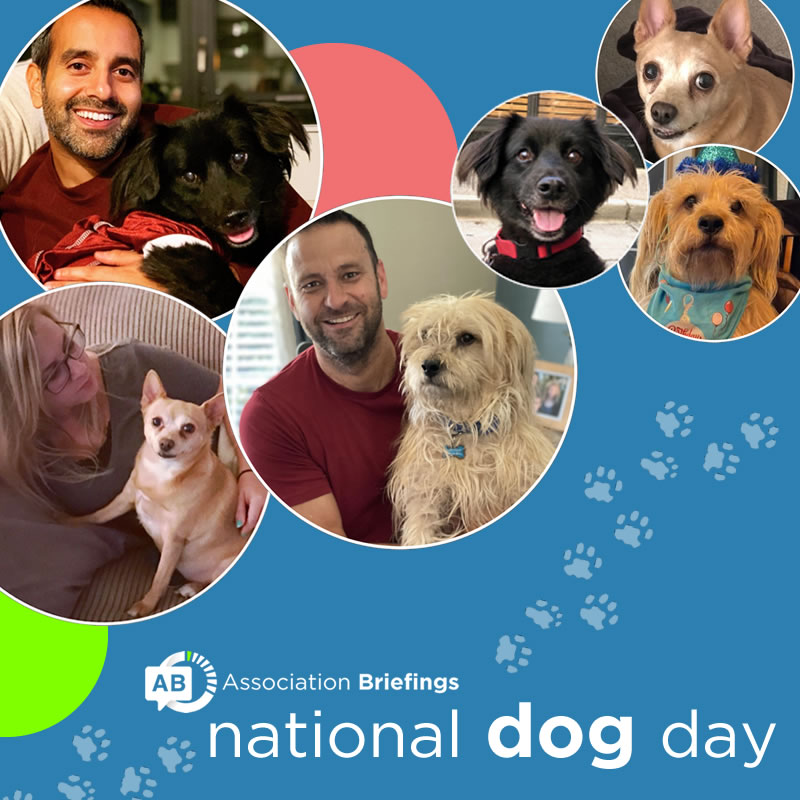 🐶 Today we honor our "co-workers" who keep us sane, accompanies us to Zoom meetings, lets the delivery drivers know who's boss, and works for treats and belly rubs. It's #NationalDogDay  and we love to celebrate it! 🎉🐾

👇Drop a pic of your 4-legged co-worker in the comments.