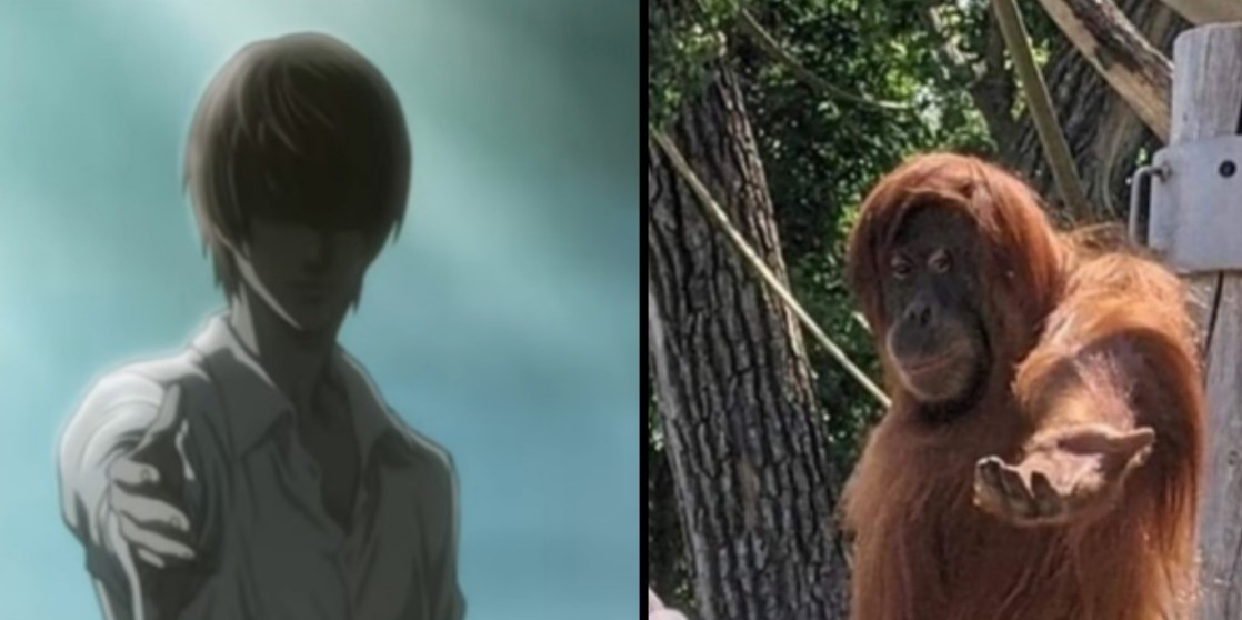 BloodlineT88's tweet photo. Wow that's Death Note reference for ya all 😂😂 https://t.co/sjYsWw19J5