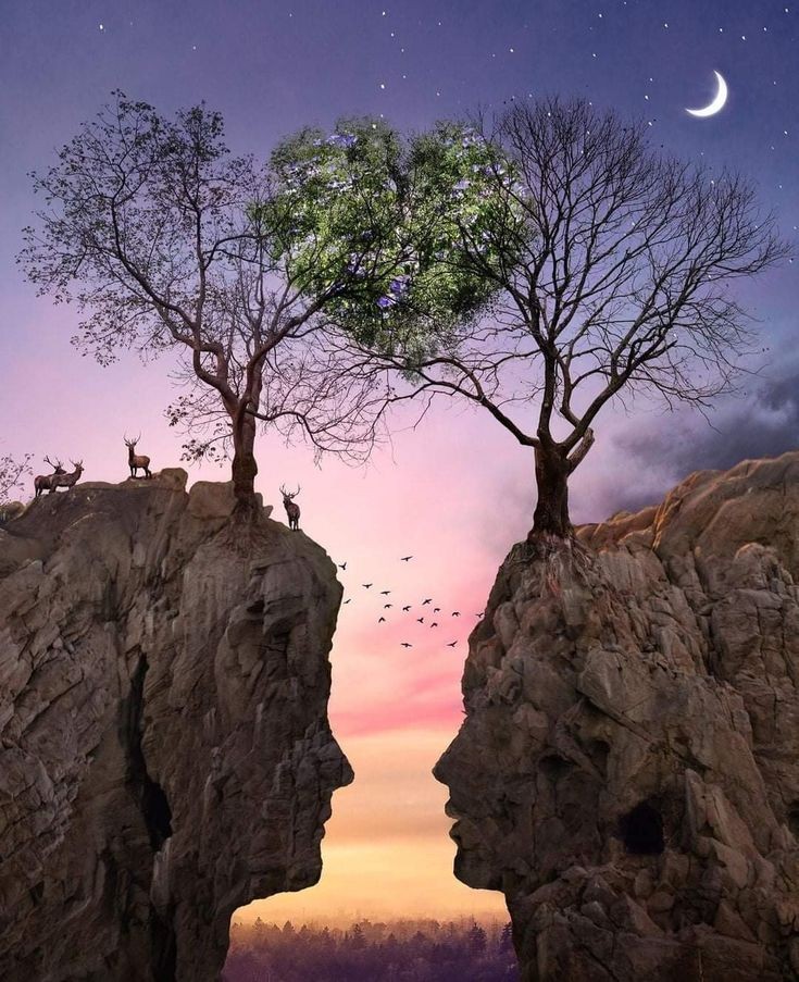 ANGELESBERMEJO1's tweet photo. Buenas noches
Good night 💫💫 https://t.co/UdJBE4ylqI