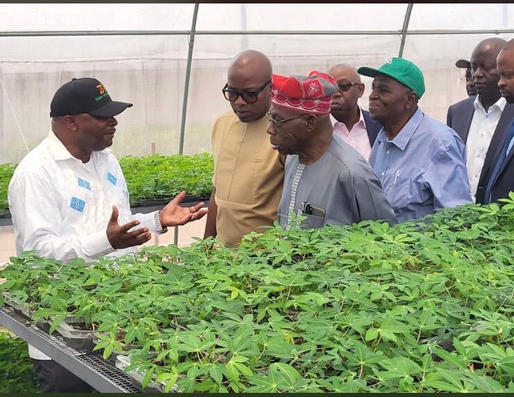GodwinAtser's tweet photo. Using the #BASICSmodel, we are helping countries to build cassava seed system. This approach increases yield and incomes for cassava farmers @NteranyaS @KahashaP @Oolusegun_obj @IITA_CGIAR @seedtracker
@AfDB_Group @BBCBreaking @AFP @RuetersSA #BASICS-II https://t.co/S0j01aOq5h