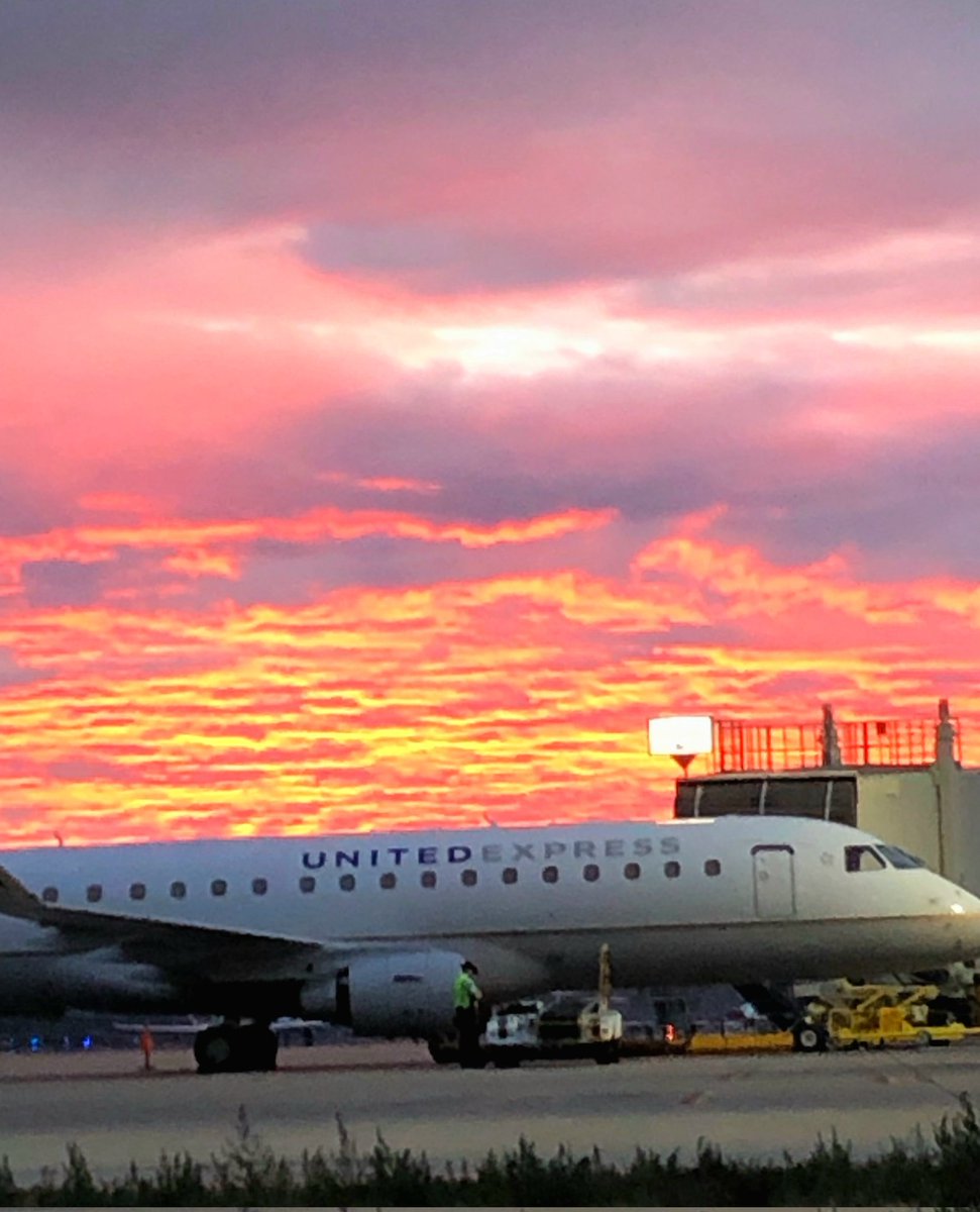 Ash Muir tweet media