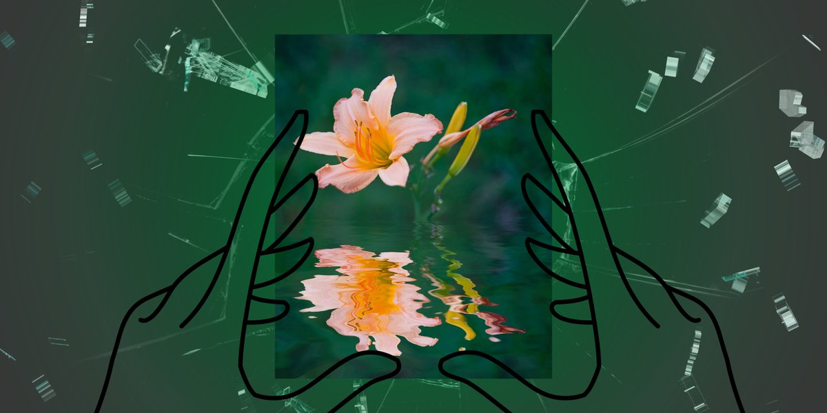 aaww's tweet photo. “Aina’s country mercilessly retracted its talons from the decades-sprawling occupation [...] The withdrawal was its own plague."

Read today's #FlashFiction, "Aina Mosaf" by @halfghaninNE, published one year since US's withdrawal from Afghanistan: https://t.co/pCLqejjJX1 https://t.co/h56CgHWIf2