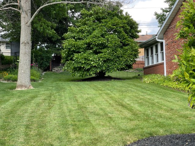 I installed the end of June.  We departed for five weeks. Returning home, my neighbor asked if I had water in the basement. I told him NOTHING!He said, we had a lot of rain. I needed to see the results for myself. After strong rain storms. I am ecstatic to say No More Water!