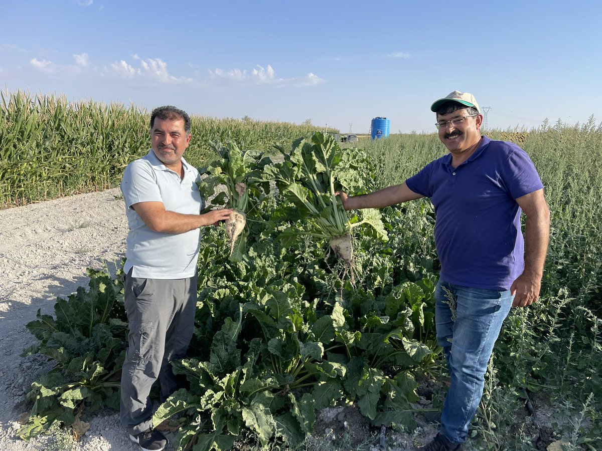 bilgehannas's tweet photo. #Waterreuse #wastewater #antibiotics #Tübitak #1001 💊
#UF #NF #RO #Groundwater #Ozone #AC #Sandfilter #SCWO
🥬🌽🥒
#corn #sugarbeet #cabbage #cucumber
💩💦 https://t.co/hTeNWKgfLC
