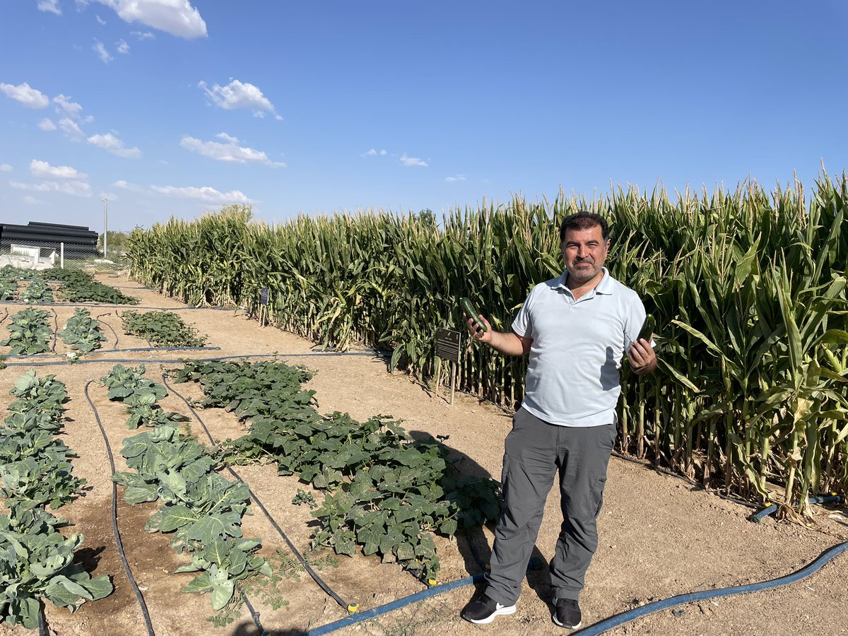 bilgehannas's tweet photo. #Waterreuse #wastewater #antibiotics #Tübitak #1001 💊
#UF #NF #RO #Groundwater #Ozone #AC #Sandfilter #SCWO
🥬🌽🥒
#corn #sugarbeet #cabbage #cucumber
💩💦 https://t.co/hTeNWKgfLC