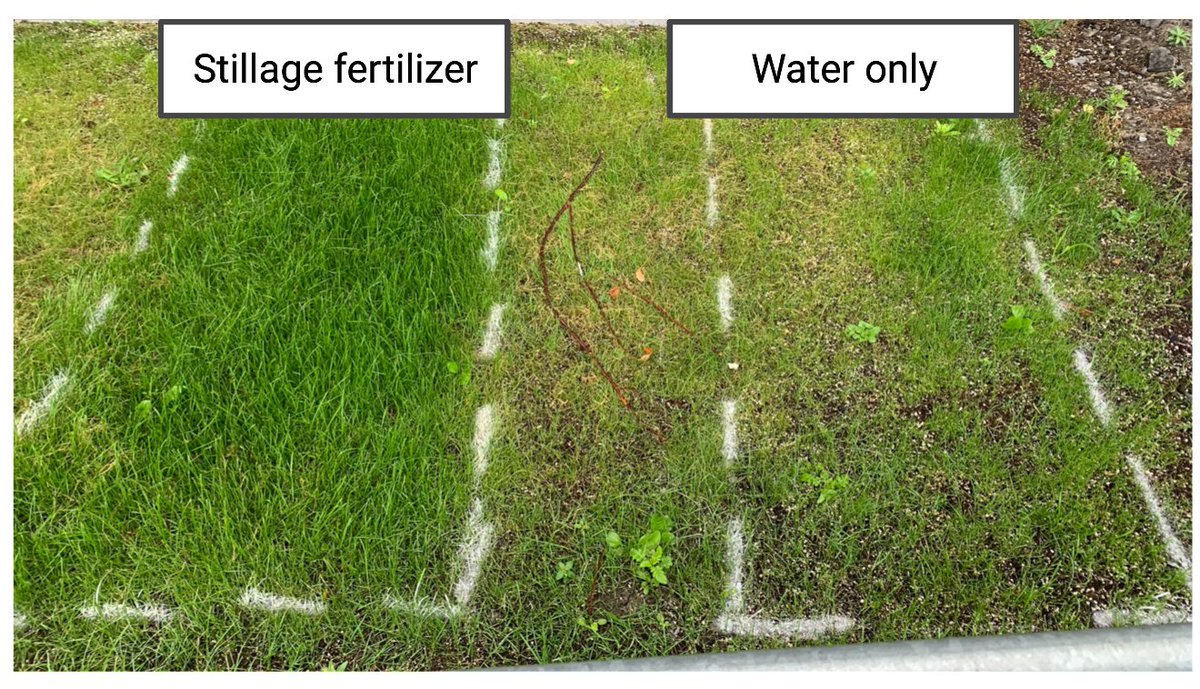 Ally MacLean tweet media