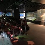 ツイートに含まれる画像