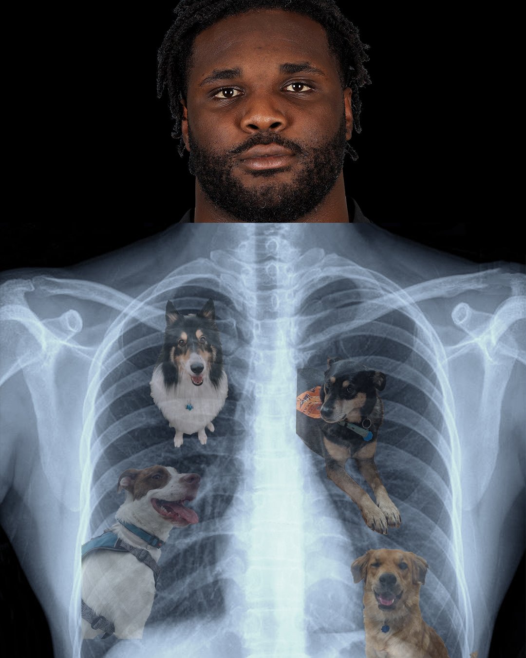 Cincinnati Bengals On Twitter DJ Reader s X rays Came Back 