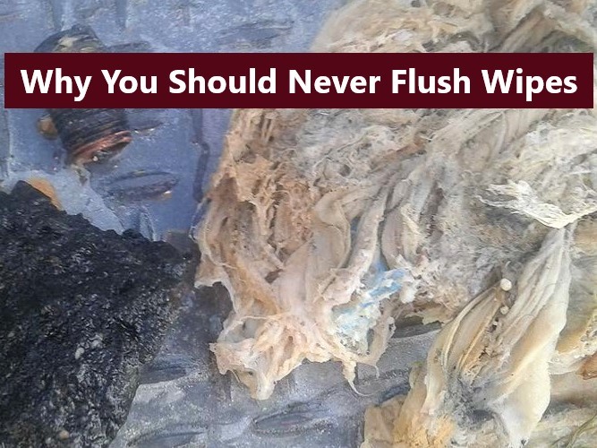 Wipes do not break up in a septic system costing you damage and expensive repairs. Flushable wipes do not break down. They only “flush”!  Get your tank inspected! Call us 610-993-9300