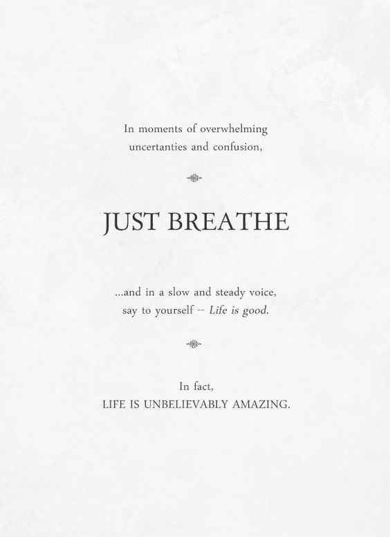 SallieCWagner's tweet photo. Just Breathe ๐ It's Friday!!! BREAK THROUGH limiting beliefs and decisions โ BREAK FREE into the life that you design and create for yourself.
Sometimes to do that...is to just BREATHE ๐ฎโ๐จ
#salliewagner #highfrequencymindset #podcast #lifecoaching #lifecoach #coaching https://t.co/nAK6DAq7F9