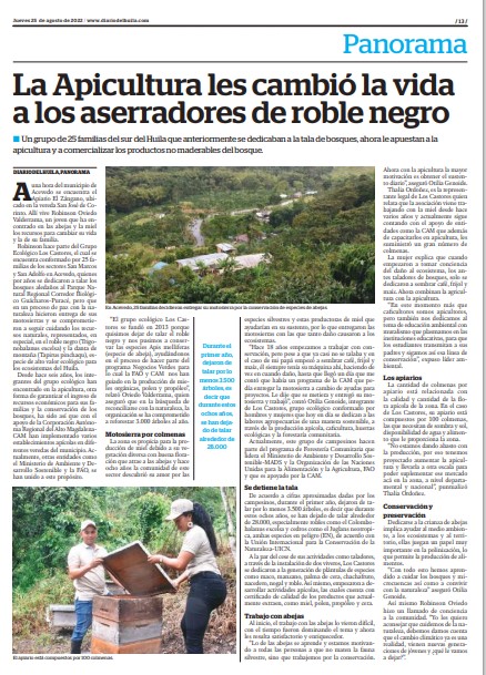 CAMHUILA's tweet photo. #SomosNoticia 🗞️📺📻💻| @diariodelhuila destaca en su sección Panorama la transformación de un grupo de 25 familias del sur del #Huila que anteriormente se dedicaban a la tala de bosques 🪵🪚 y ahora le apuestan a la apicultura 🐝🍯y a comercializar los productos no maderables. https://t.co/TFiezV0U0E