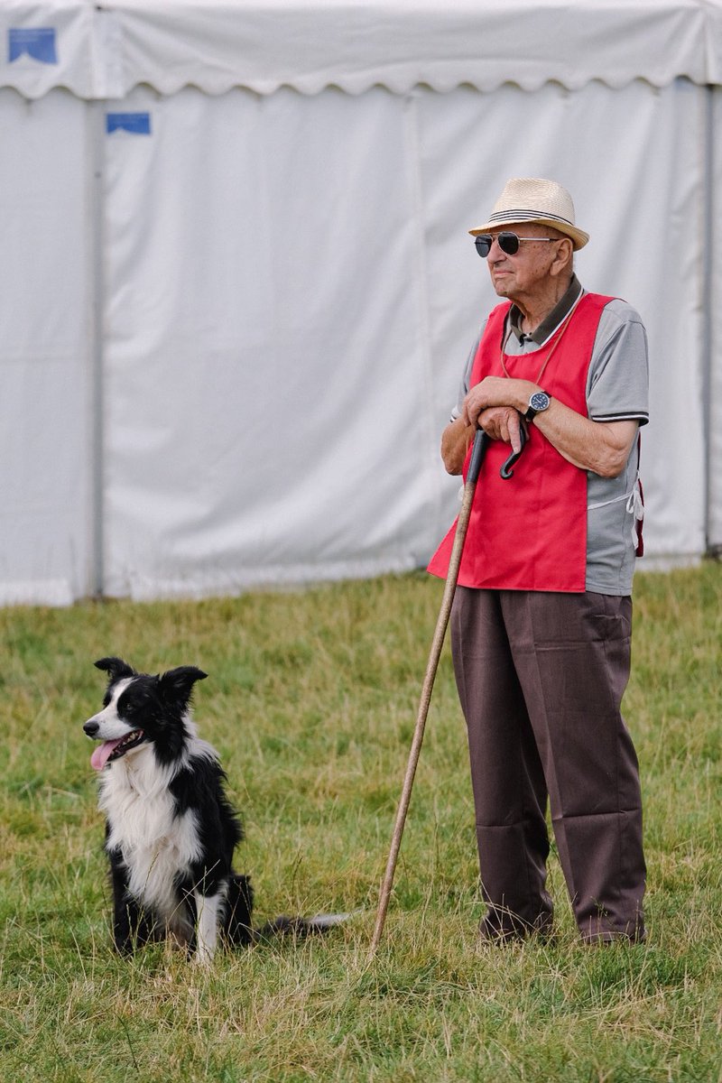 Sheepdog Editor tweet media