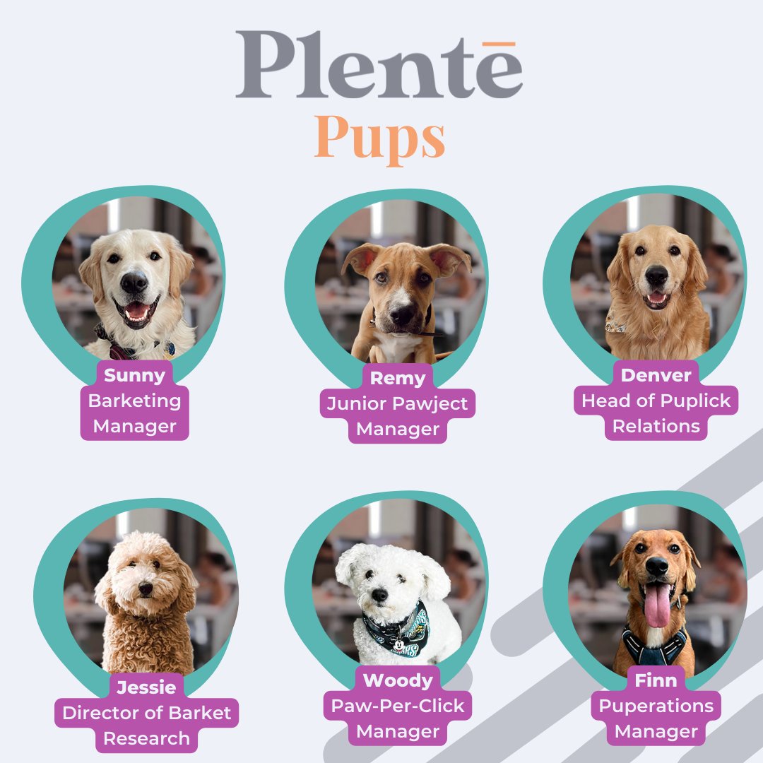 PlenteAgency's tweet photo. Happy National Dog Day! Introducing some of our most valuable team members... our Plentē Pups!

I don't know about you, but I've never seen a more qualified (and dashing) department. If you want all your marketing needs to fall into the right hands (&amp; paws), message us today! https://t.co/Giqkv4LEuC