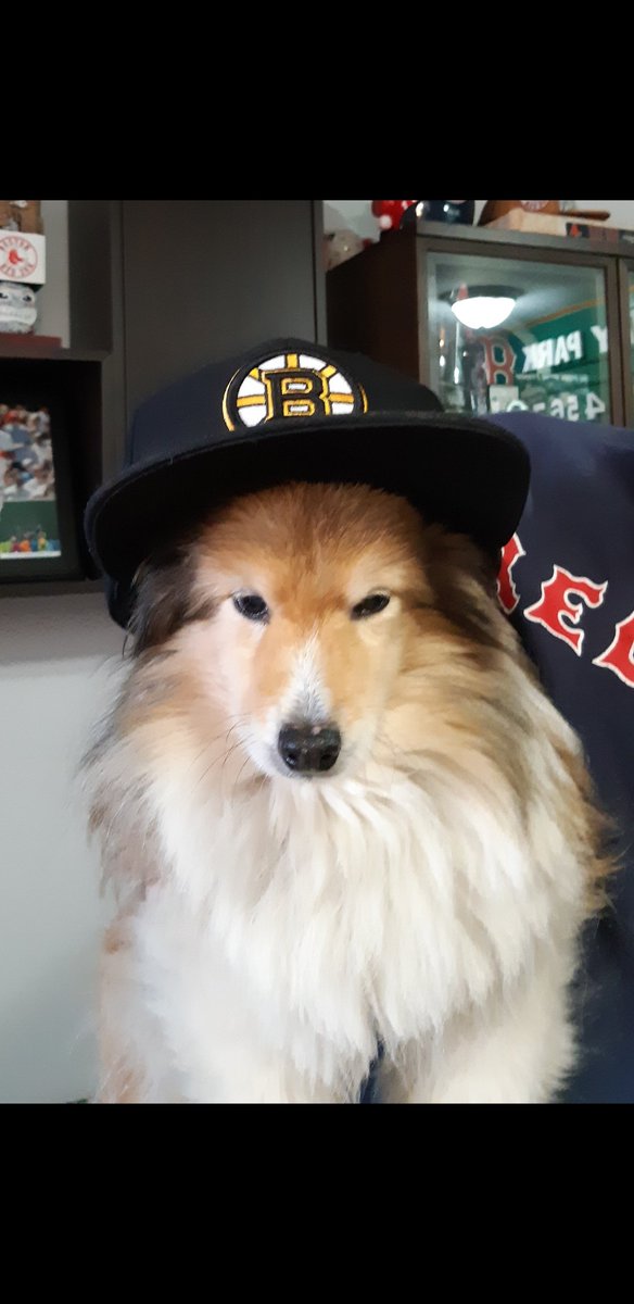 ethier_frank's tweet photo. #HappyNationalDogDay 

#Abeille #RIP2020 ❤ https://t.co/37mwbz9lJ3