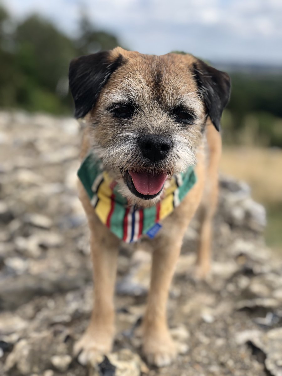 Tobi_LeRone's tweet photo. A little pit-stop at Donnington Castle #MiniHolibobs #FriYay https://t.co/apckyLd4lQ