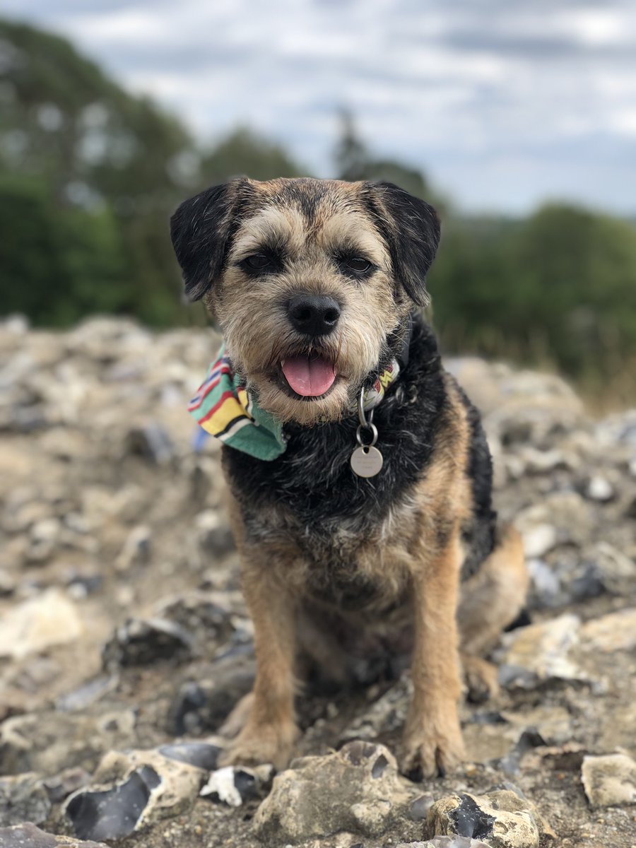 Tobi_LeRone's tweet photo. A little pit-stop at Donnington Castle #MiniHolibobs #FriYay https://t.co/apckyLd4lQ