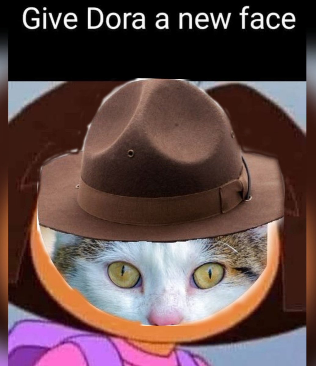 🐈 Dubo tweet media