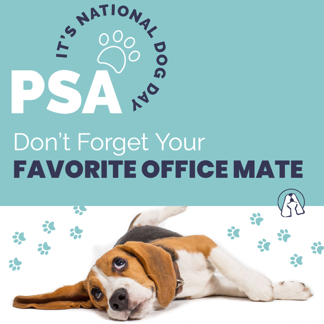 arooConsulting's tweet photo. Don't forget to show some love to your favorite four-legged colleague(s) today!πΆ
#nationaldogday2022 #pupsatwork https://t.co/X3kTirSz9F