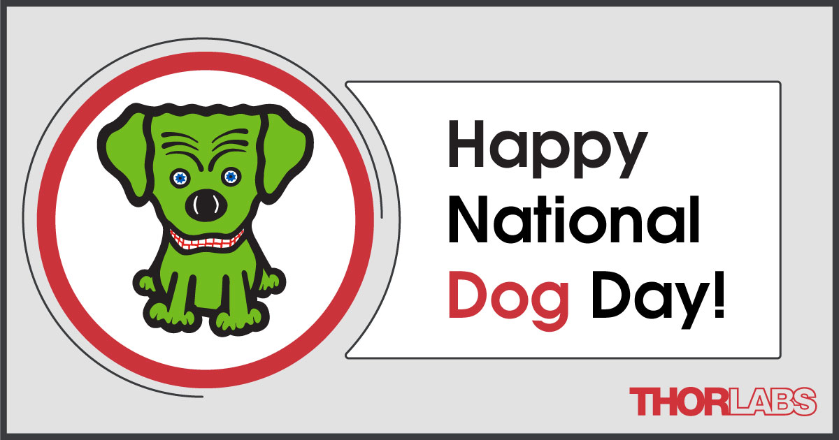 Thorlabs's tweet photo. Did you know Thorlabs is named after founder Alex Cable's Labrador Retriever, Thor? Unleashed, the current mascot embodies our commitment to solving customer challenges with an unbound spirit of innovation.
#nationaldogday #internationaldogday #photonics #labsnacks https://t.co/wnxsh4hGD2