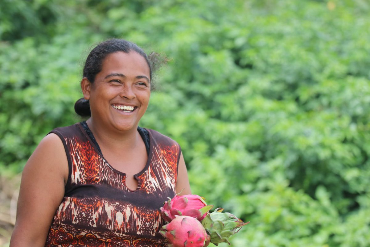 KeithAgoada's tweet photo. Founder and CEO of 'Sol Simple' Will Burke has done more than sell tropical fruits.

He created a holistic brand where #regenerativeagriculture, #trainingfarmers, using #RenewableEnergy, and employing single mothers are his core #values. #greenjobs https://t.co/0xwmbap0pA