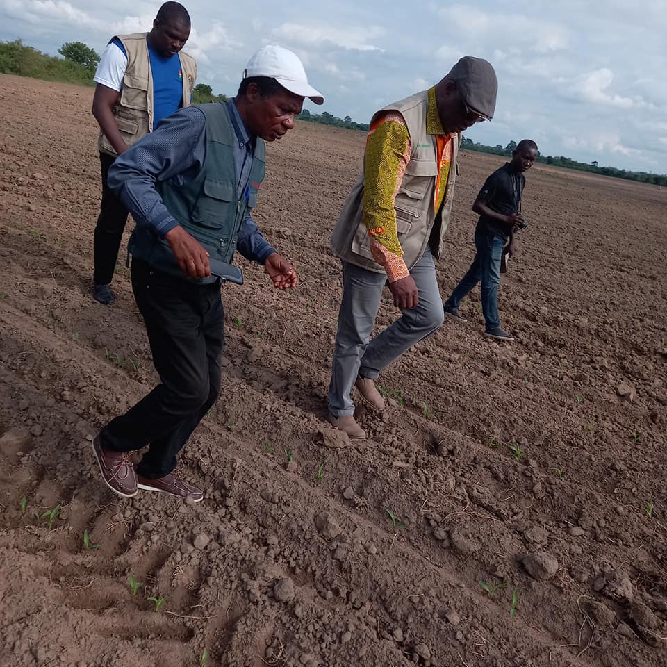 ANADER_CI's tweet photo. Le Directeur Général de l'#ANADER souhaitant s'enquérir personnellement de l'avancement sur le terrain du Programme d'Urgence du Secteur Agricole #PURGA2 a donc effectué cet après midi une visite improvisée sur des parcelles de ⤵️⤵️
#CIV225
@Gouvci
#Securitealimentaire https://t.co/fuhOS7qww2