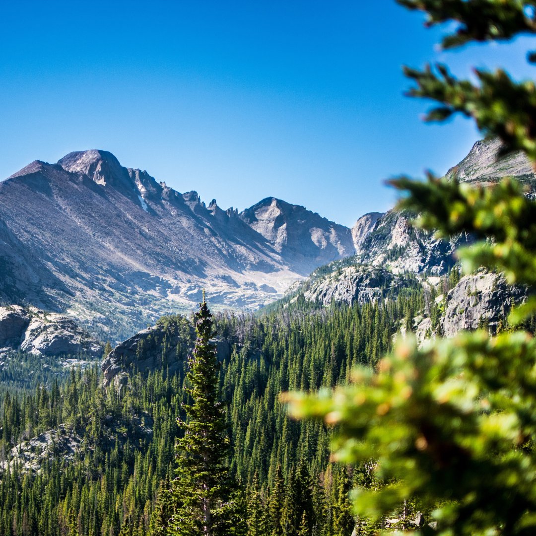 303Martinez's tweet photo. Don't miss your chance to head outdoors before it gets cold. Check out a state park pass from @denverlibrary. Enjoy the beautiful nature of our state while resetting your wellness. Learn about state park passes here: https://t.co/k4pKiK9qfY #WellnessMonth #MyDenverLibrary https://t.co/EC7w2bHLMI