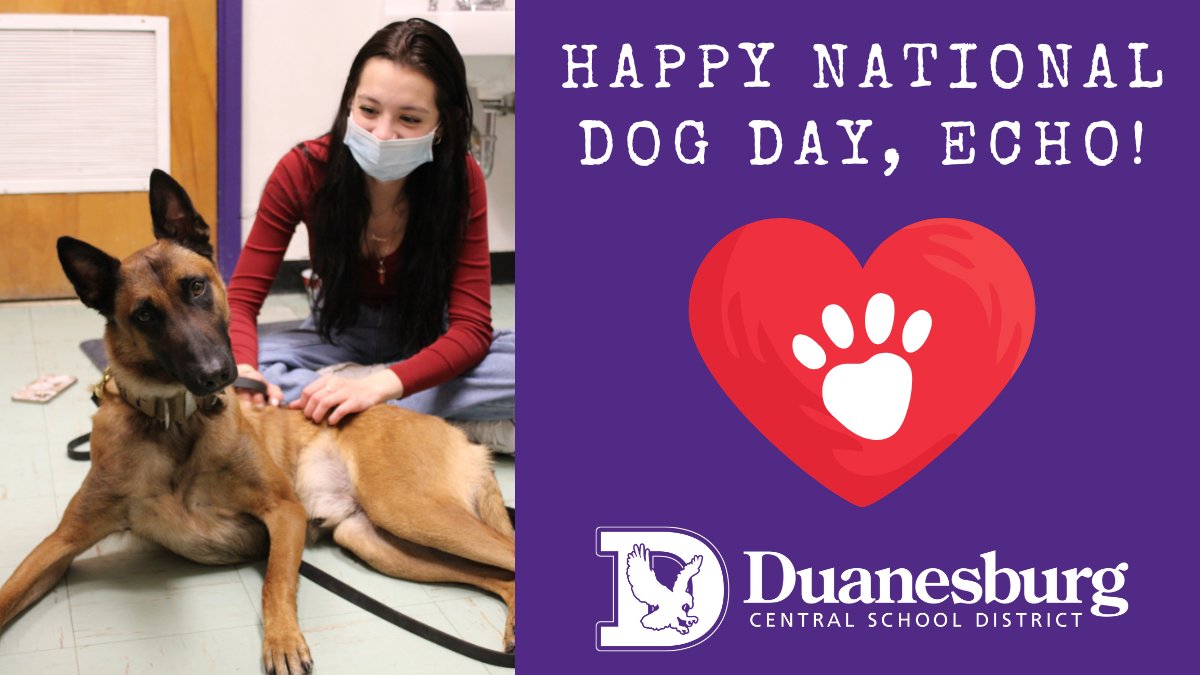Duanesburg Schools (@duanesburgcsd) on Twitter photo Wishing a very happy #NationalDogDay to DCS' K9 Echo! Wishing you lots of treats and belly rubs today!
Echo makes up half of the district's Resource Officer team with Deputy Eric Reyell from the Schenectady Sheriff’s Office. 💜🐾💛
<a href="/schenectady_s/">Schenectady County Sheriff’s Office</a> Wishing a very happy #NationalDogDay to DCS' K9 Echo! Wishing you lots of treats and belly rubs today!
Echo makes up half of the district's Resource Officer team with Deputy Eric Reyell from the Schenectady Sheriff’s Office. 💜🐾💛
<a href="/schenectady_s/">Schenectady County Sheriff’s Office</a>