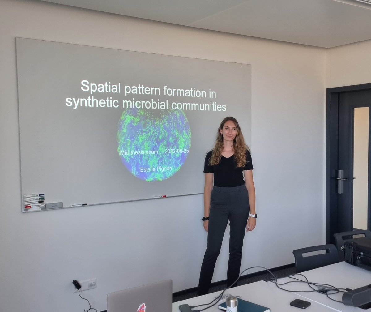 Yesterday was my mid-thesis exam, I am now officially a PhD candidate!