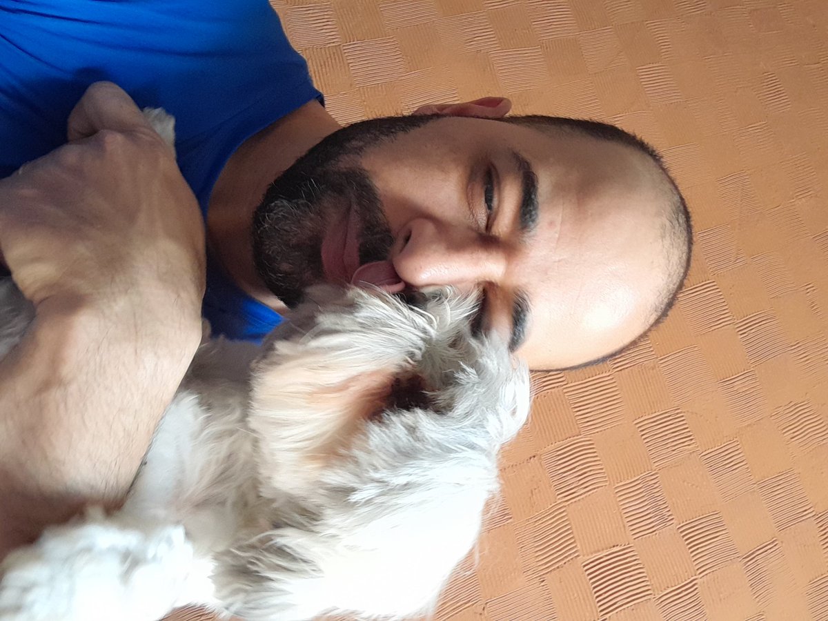 AdrianoFSouza4's tweet photo. #SP1 Eu e o Biscoito acompanhando as notícias do #SP1.
No dia mundial dos cachorros 🐕.
#Diamundialdocachorro . https://t.co/fK1Dmf8v0u
