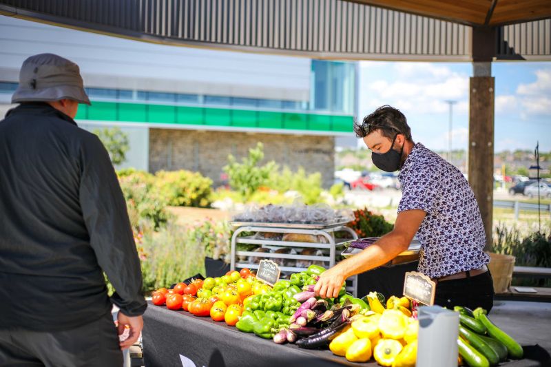 durhamcollege's tweet photo. Support local food and agriculture with curbside pickup meals from Bistro '67 or DCโs Weekly Community-supported Agriculture (CSA) boxes, which are filled with seasonal, DC-grown fresh fruits, vegetables and preserves. Visit https://t.co/2EAR7BtnSt for more. #ShopLocalON #ONag https://t.co/qSqWRbyE4x