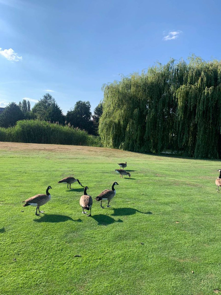 Today is the day to beat up the Avengers except for my Tony