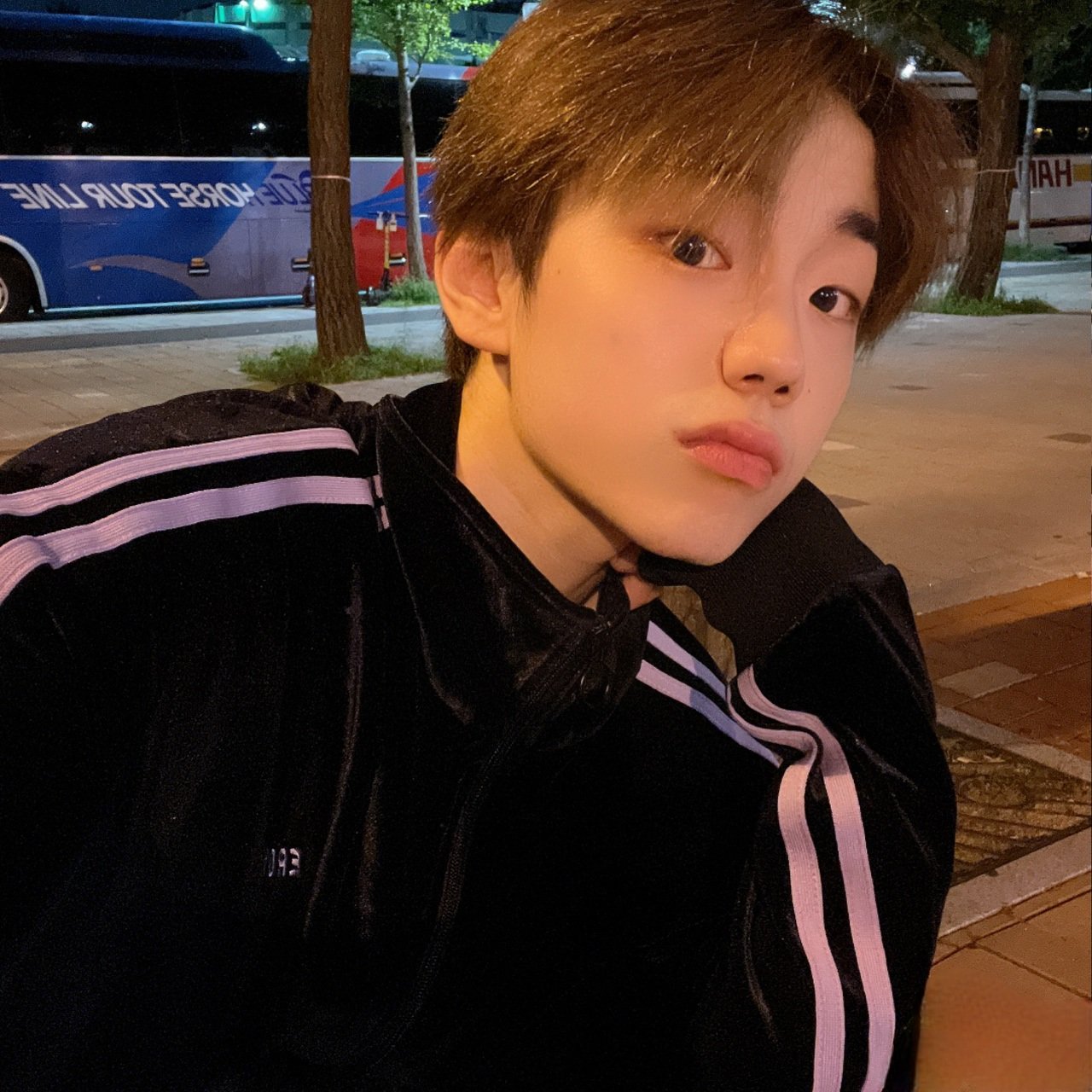 [잡담] 댕trash 요일 전에 화이팅 갈기자 | 인스티즈