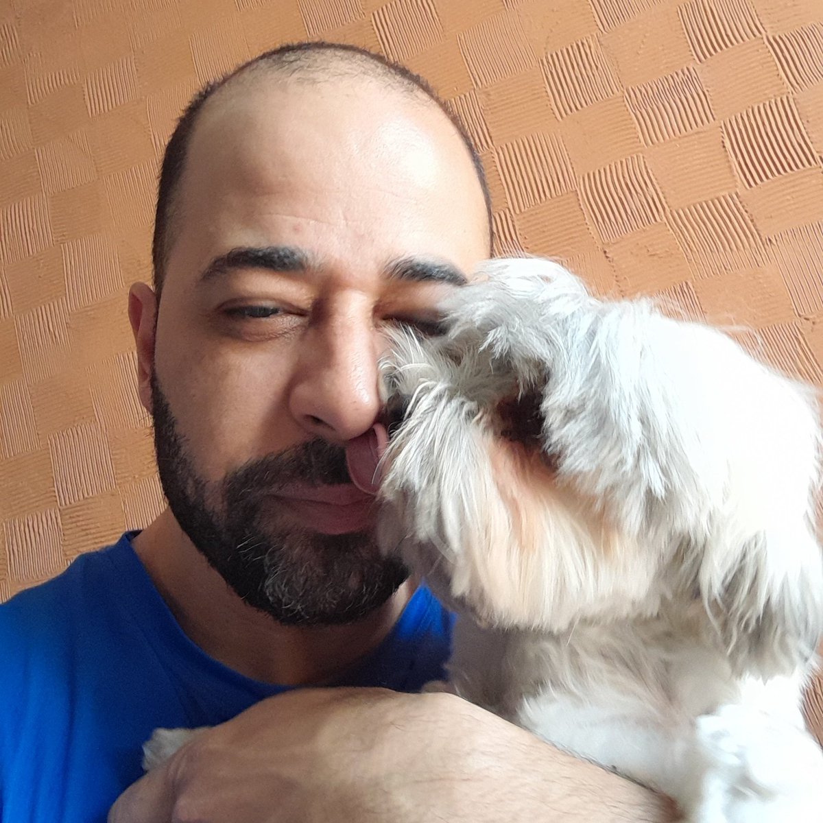 AdrianoFSouza4's tweet photo. #SP1 Eu e o Biscoito acompanhando as notícias do #SP1, no dia mundial dos cachorros 🐕. https://t.co/JpL2IzucpR