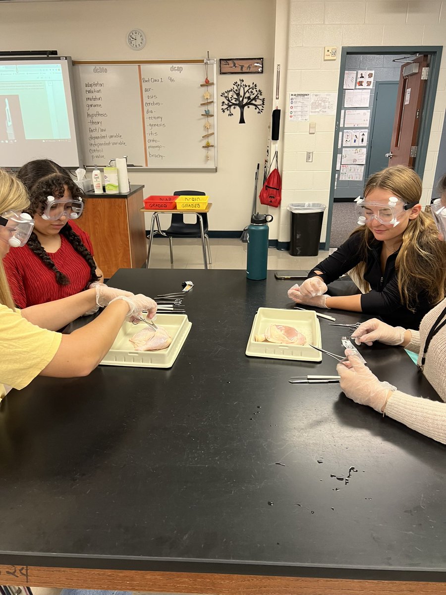 Mary Marshall tweet media