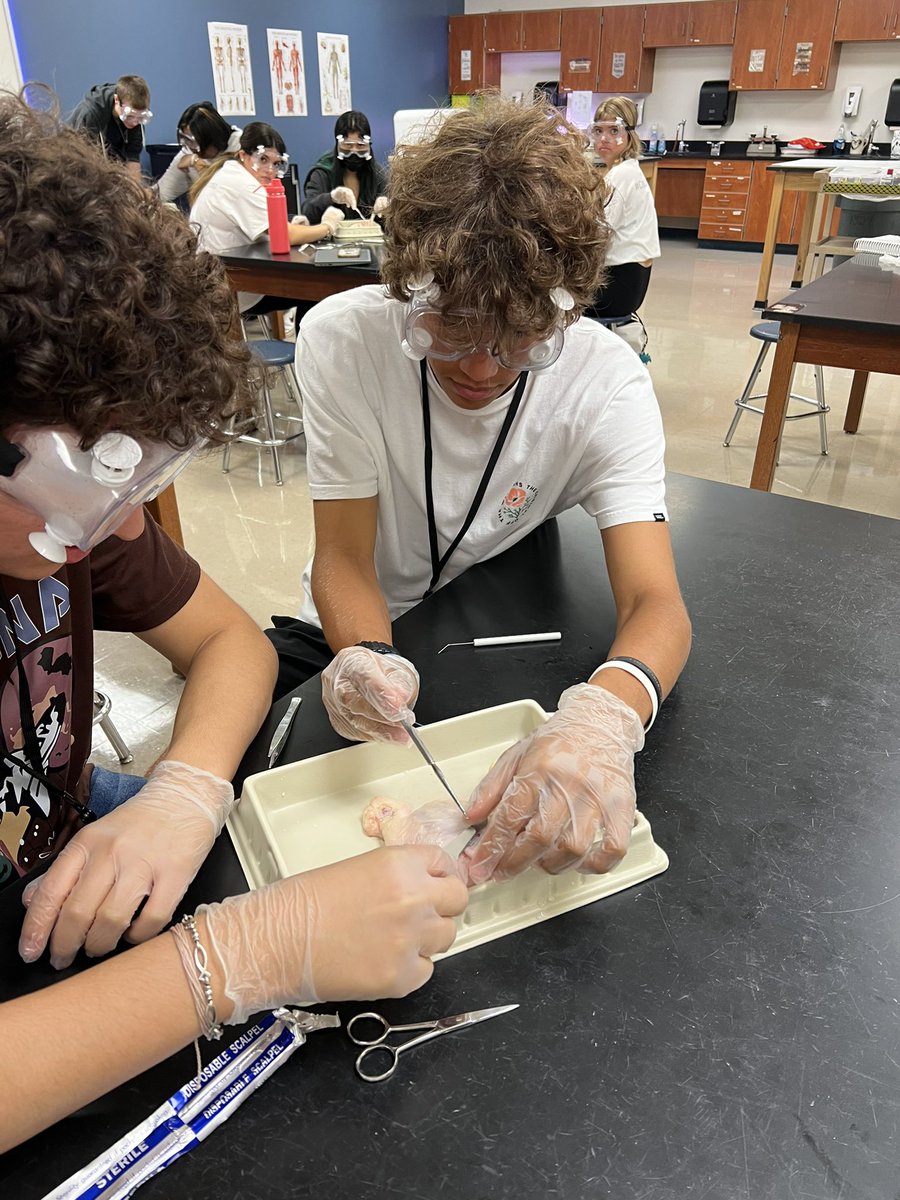 Mary Marshall tweet media