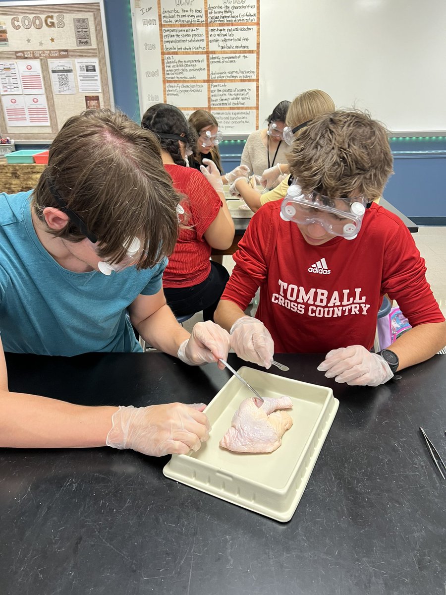 Mary Marshall tweet media