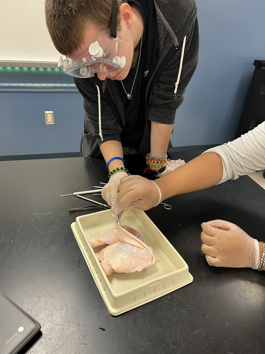 Mary Marshall tweet media